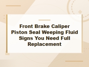 Front Brake Caliper Piston Seal Weeping Fluid: Signs You Need Full Replacement